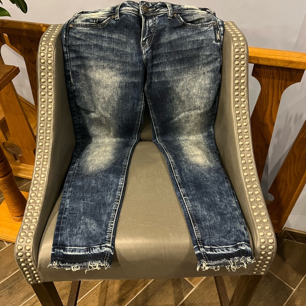 Silver Jeans Co. ankle skinny